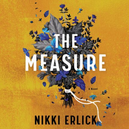 The Measure: A Novel Audiobook