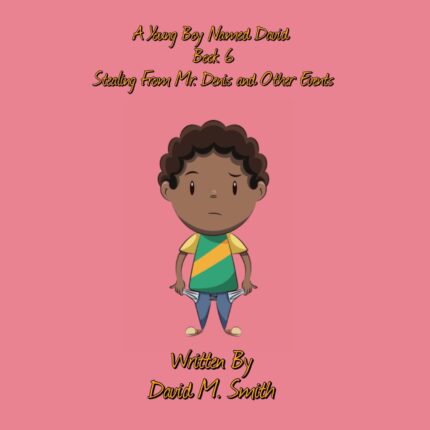 A Young Boy Named David Book 6: Stealing From Mr. Denis and Other Events Audiobook