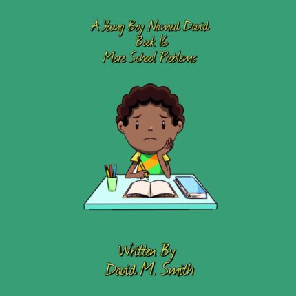A Young Boy Named David Book 16: More School Problems Audiobook