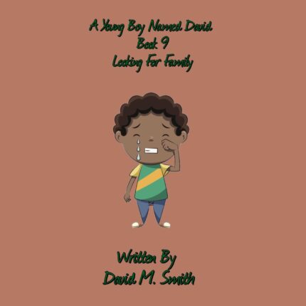 A Young Boy Named David Book 9: Looking For Family Audiobook