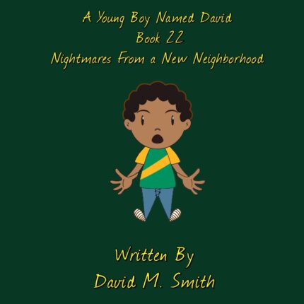 A Young Boy Named David Book 22 Audiobook